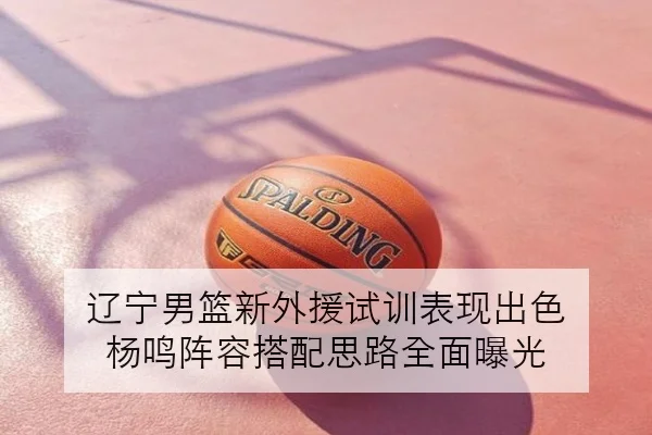 辽宁男篮新外援试训表现出色 杨鸣阵容搭配思路全面曝光